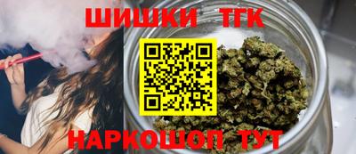 молекула духа Будённовск