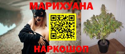 молекула духа Будённовск