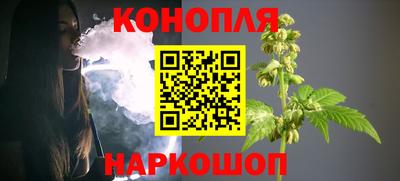 молекула духа Будённовск